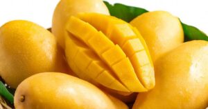 Mango Companies in Pakistan