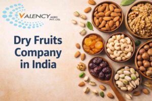 Dry Fruits Company in India