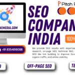 SEO Company in india (2)