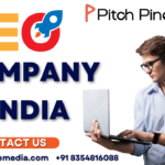 SEo Company in india (10)