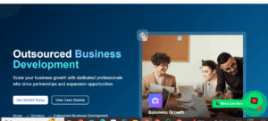 Saas Lead Generation Services