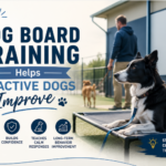 dog board train
