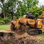 Stump Removal Fuller Heights