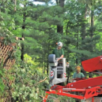 firewood delivery near me