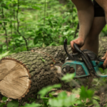 Tree Removal Houston