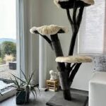 images (7)