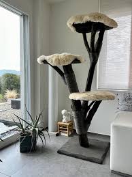 images (7)