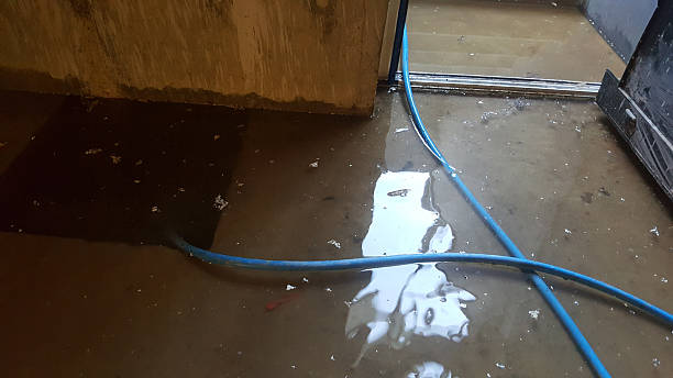 In this guide, we’ll explore everything you need to know about water damage restoration Ashburn, why it matters, and how Cardinal Cleaning Solution provides reliable, high-quality restoration services.