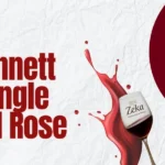 Pinot Noir Rosé