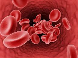 Anemia in Dubai