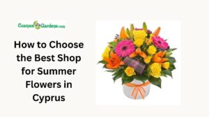 Shop Summer Flowers in Cyprus