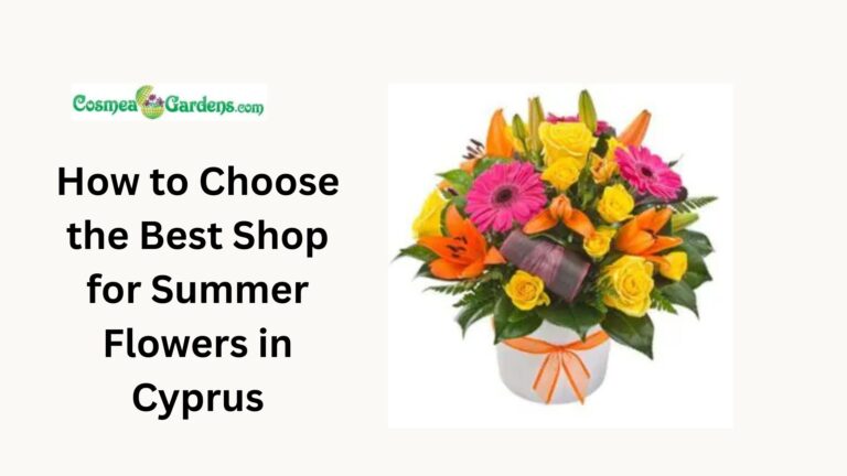 Shop Summer Flowers in Cyprus