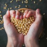 Soyabeans Dealers in India