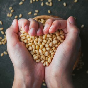 Soyabeans Dealers in India