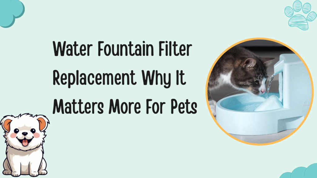 Water fountain filter replacement