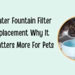Water fountain filter replacement