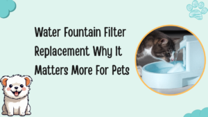Water fountain filter replacement
