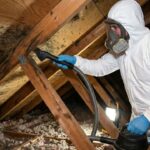 attic mold removal cost_