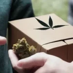 The Future of Weed Delivery in Oakland: Trends to Watch in 2026