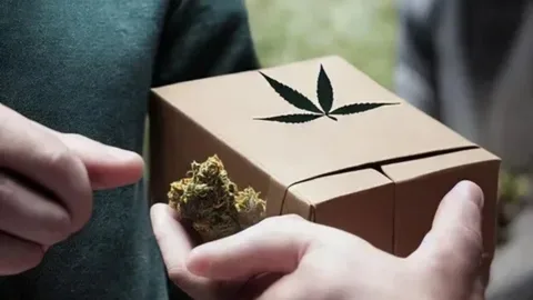 The Future of Weed Delivery in Oakland: Trends to Watch in 2026