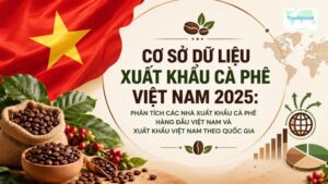 Cơ Sở Dữ Liệu Xuất Khẩu Cà Phê Việt Nam 2025: Phân Tích Các Nhà Xuất Khẩu Cà Phê Hàng Đầu Việt Nam và Xuất Khẩu Việt Nam Theo Quốc Gia
