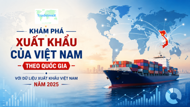 Khám Phá Xuất Khẩu của Việt Nam Theo Quốc Gia với Dữ Liệu Xuất Khẩu Việt Nam Năm 2025