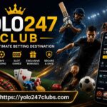 yolo 247
