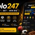 yolo247