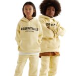 The Essentials Hoodie has become