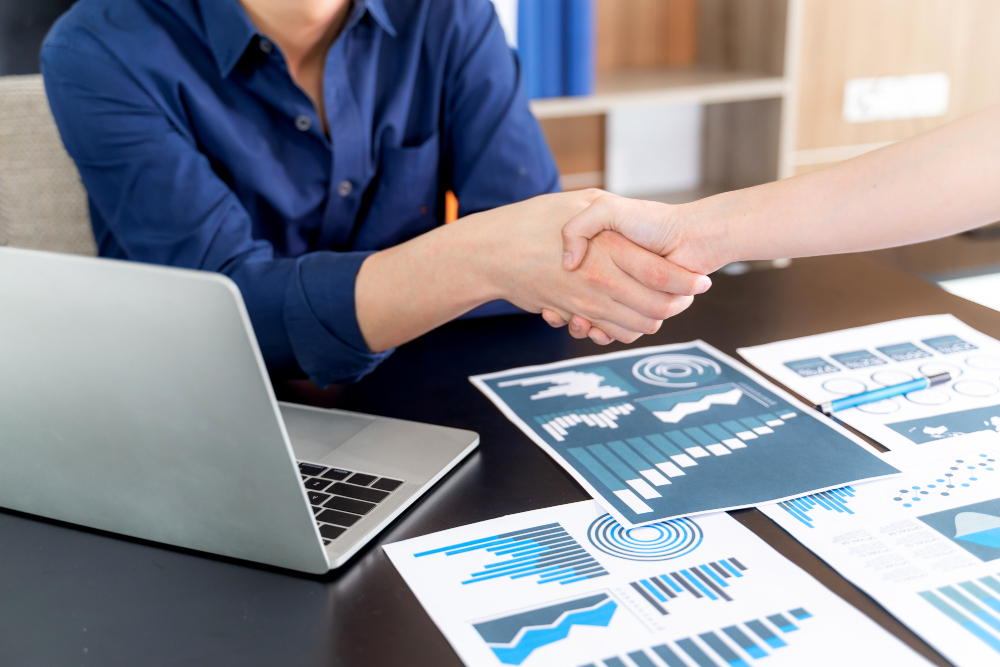 ERP Implementation Partner