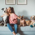 How Does an Animal Psychic Receive Messages From Pets