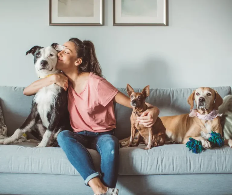 How Does an Animal Psychic Receive Messages From Pets