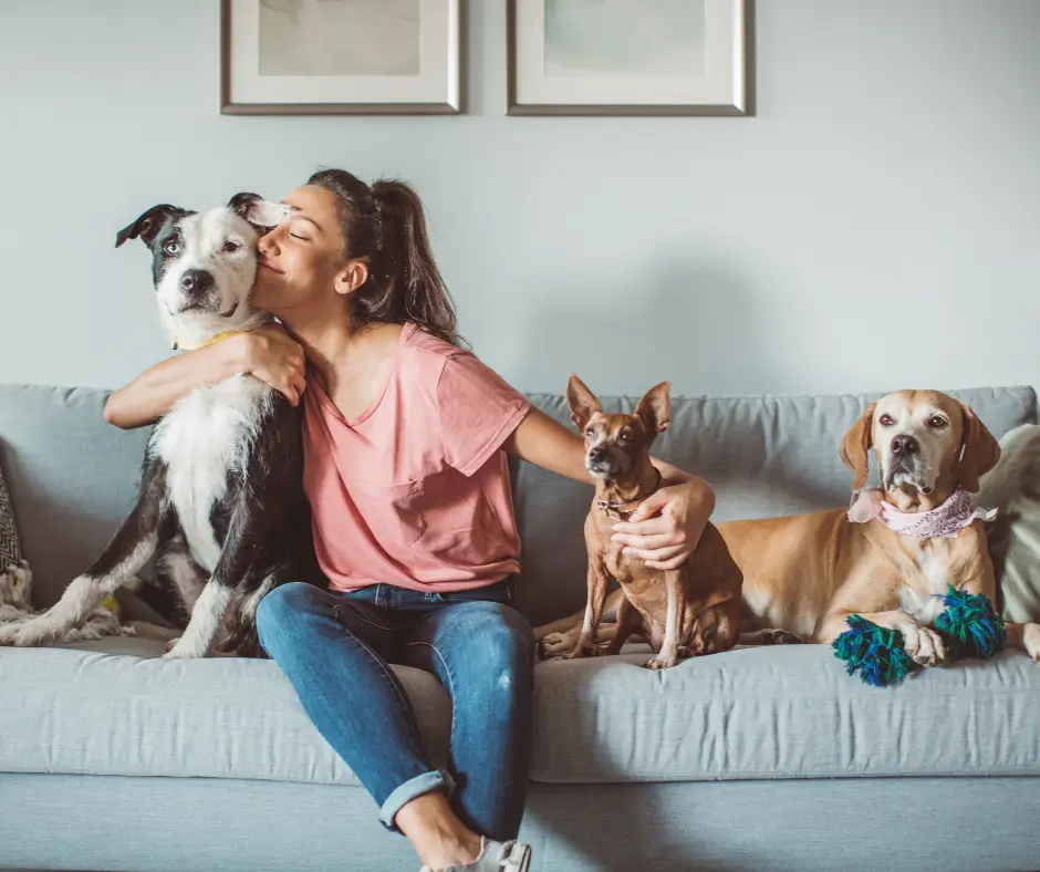 How Does an Animal Psychic Receive Messages From Pets