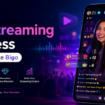 App Like Bigo