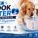 Brook water