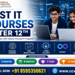 IT courses after 12th