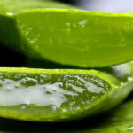 aloe vera extract manufacturers