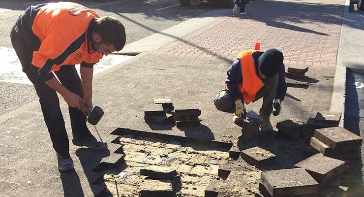 Landscaping Contractor Sydney