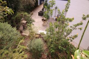 Landscaping Contractor Sydney