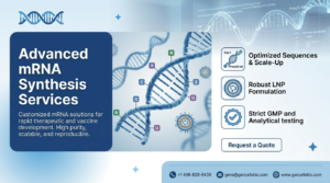 mrna synthesis
