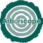Tree surgeon Cumbria