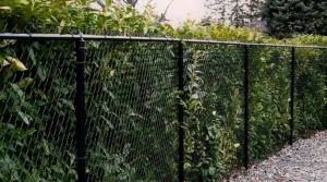 Privacy Fence Installation Asheville Nc