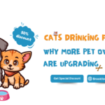 Cats Drinking Fountains