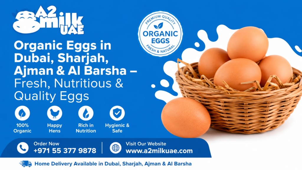 Fresh Organic Eggs