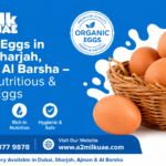 Fresh Organic Eggs