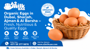 Fresh Organic Eggs