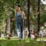 Dog Walking Companies