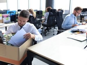 Employment Lawyer