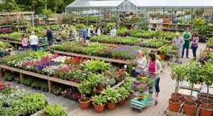 Garden Centers in Appleton