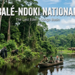 Nouabale Ndoki National Park